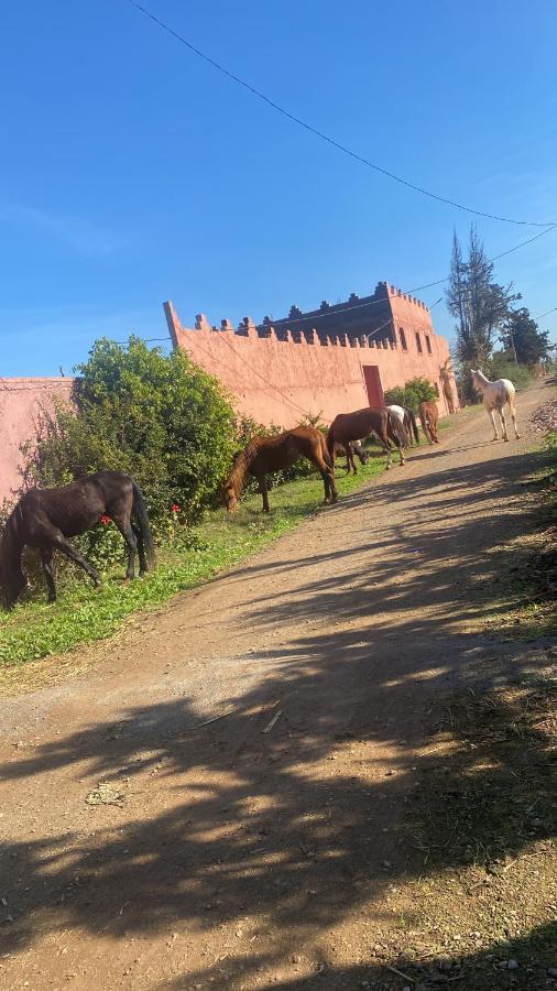 Gite Touristique Yassmine Madagh Kültér fotó